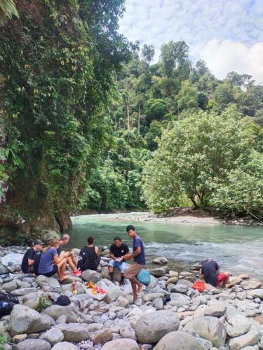 Jungle View Homestay Bukit Lawang