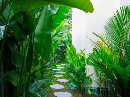 Danniel?s Luxury Villa In Pererenan