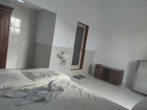 Hostal Roy Guest House
