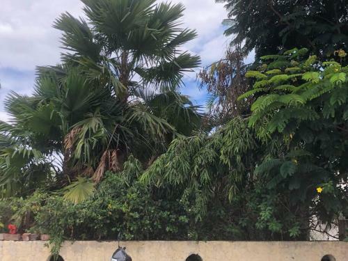 Villa Beautiful 1bhk Bungalow Surrounded By Mountains