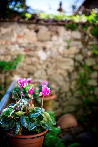 Bed & Breakfast I Pirami Nei Borghi