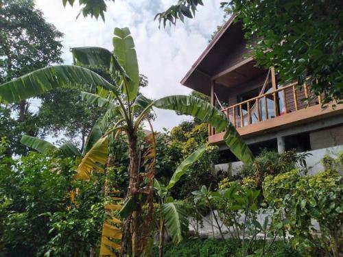 Hotel Tree House Koh Tao