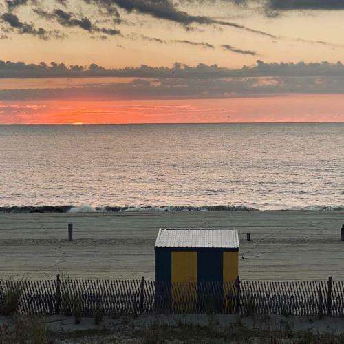 Seaside Star