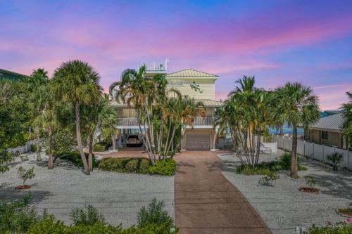 Dolphin Tales - 836 S Bay