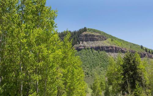 2875 Manns Ranch Road Unit D1