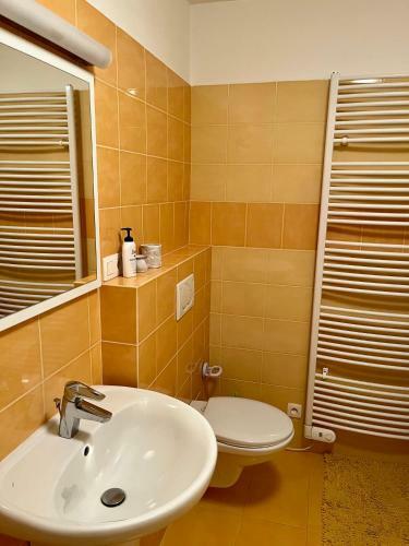 Apartm�n U Tes�ka - ?�?ky V Orlick�ch Hor�ch