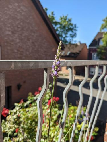 Apartamento Ferienwohnung Zum Wildpark