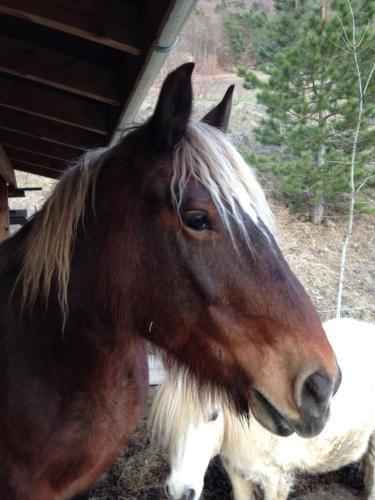 Bed & Breakfast Au Fil Des Saisons