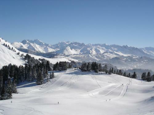 Chalet Hotel Vaccapark