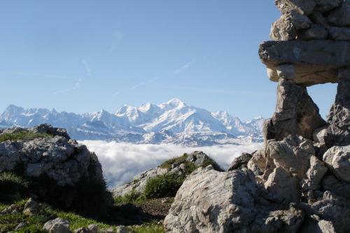 Chalet Hotel Vaccapark