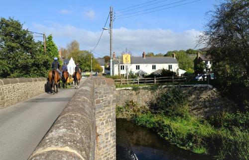 Hideaway In Devon, Perfect For Couples (and Dogs)