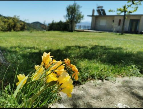 Apartamento Up On The Hill
