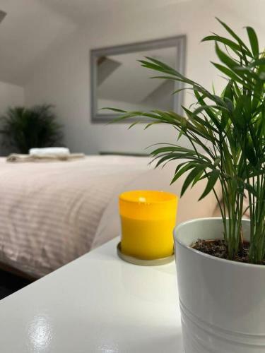 Jacuzzi Spa! Stunning Entire Guest House - Netflix