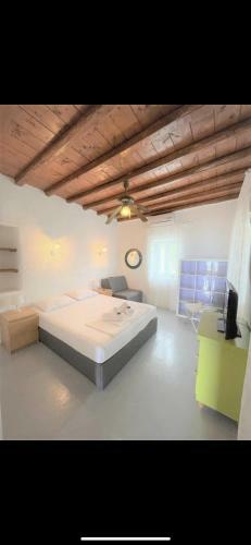 Spacious Traditional Mykonian House