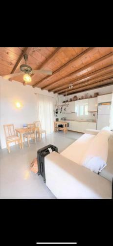 Spacious Traditional Mykonian House