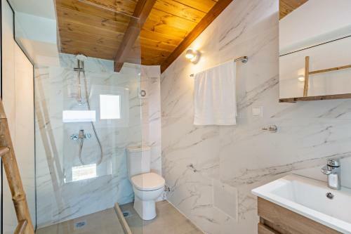 Aura Suite