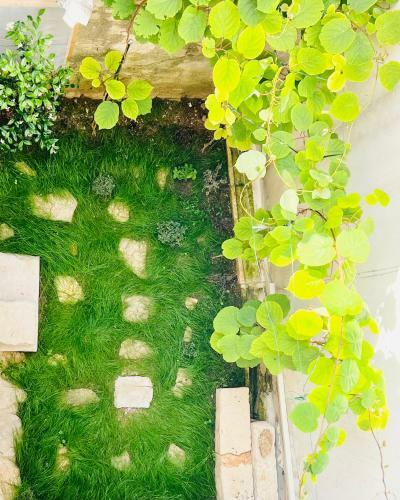 Apartamento Villa Kata