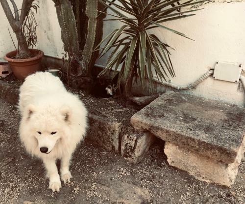 Agroturismo Masseria Anni Trenta