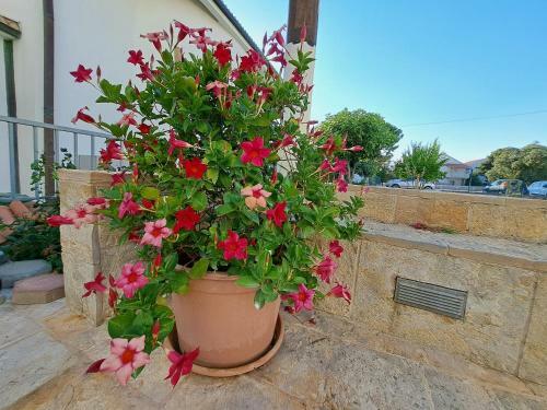 Apartamento Flos Carmeli