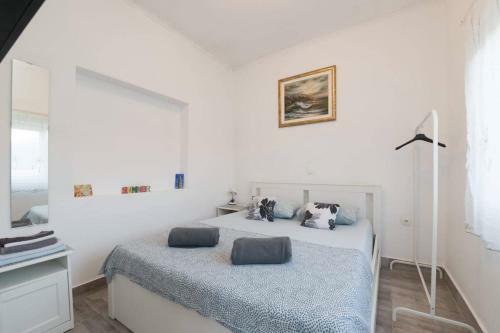 Apartmani David