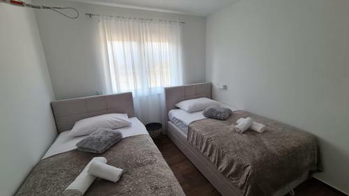 Villa Pool House Roma