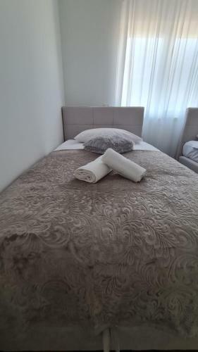 Villa Pool House Roma