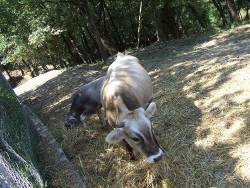 Agroturismo Agriturismo Gorrieri