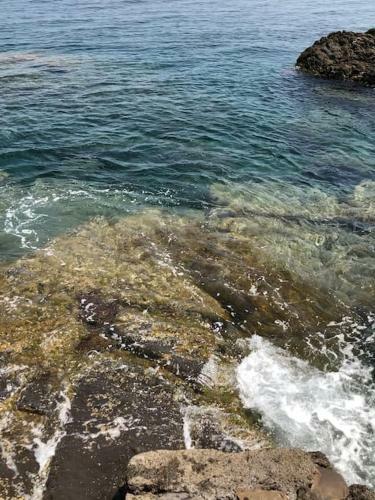Apartamento Sul Mare Tra I Pini