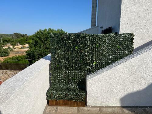 Hostal Villa Del Tiglio