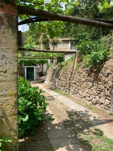 Hostal Vecchio Mulino Fontona Ortensia