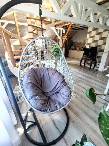 Apartament Z Antresol? W ?ywkach