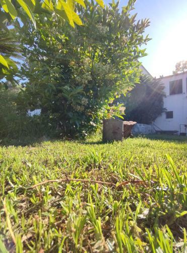 Villa Martino Apartments