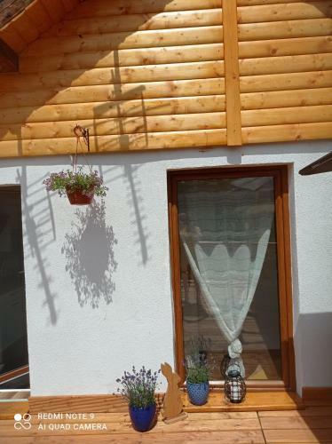 Apartamenty Sokolec