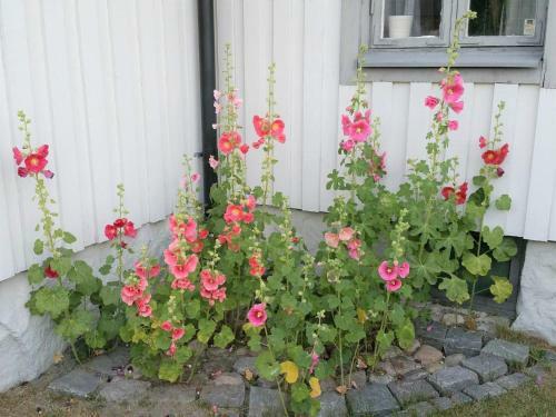 Holiday Home S�lvesborg XVI
