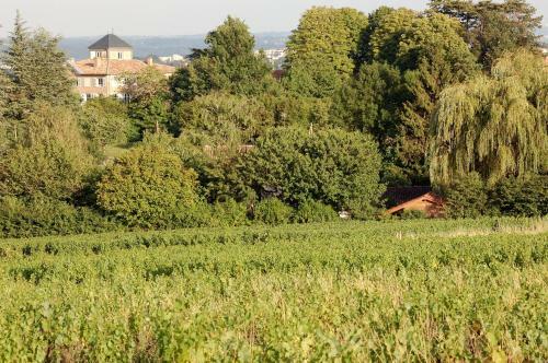 Bed & Breakfast Le Montellier