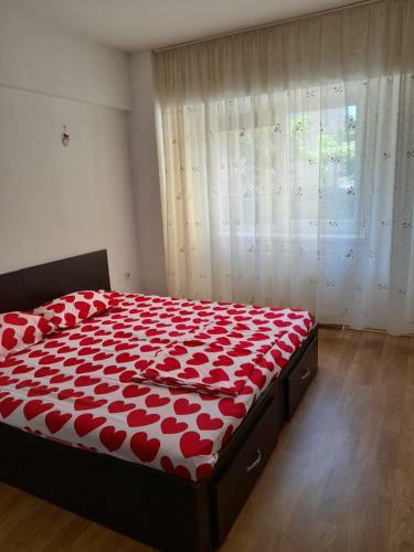 Apartament 3 Camere