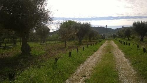 Monte Da Pega (guest House)