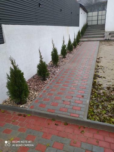 Apartamento Zyg House
