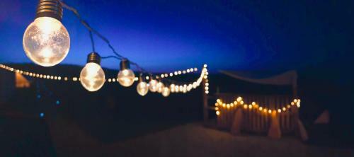 Glamping Iurte Mongole Spiritul Zimbrului