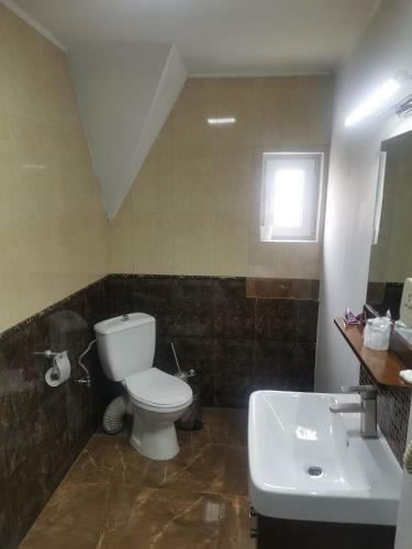 Hostal Pensiunea Maximilyanis