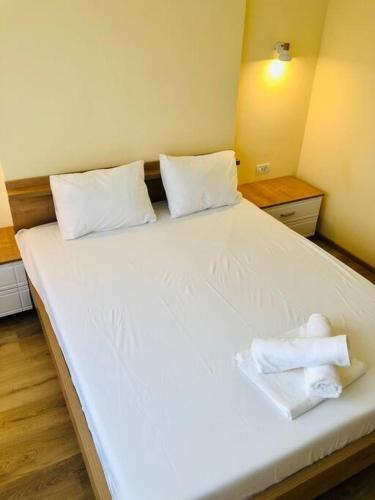 Ultra-central Apart -3 Rooms- Cathedral View Vic3