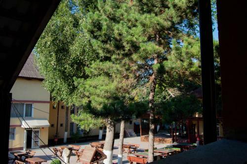 Hotel Complex Corsa Costinesti