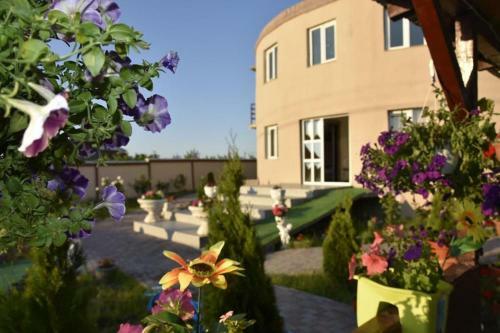Hostal Pensiunea Nony