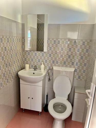 Hostal Pensiunea Scoica