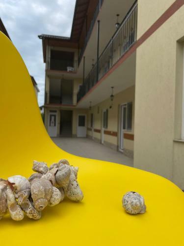 Hostal Pensiunea Scoica