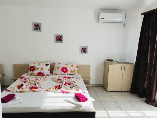 Hostal Vila Steaua