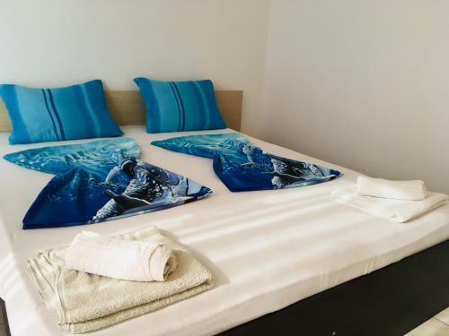 Hostal Vila Steaua