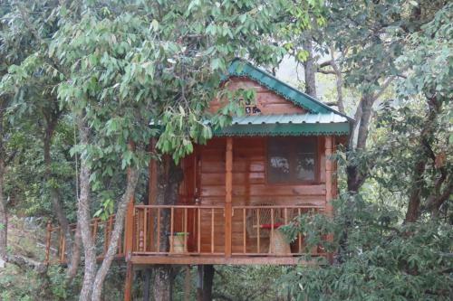 Odyssey Stays Mukteshwar - 300 Metres Trek