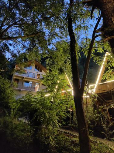 Near Naggar Castle Jungle Vibes Hostel