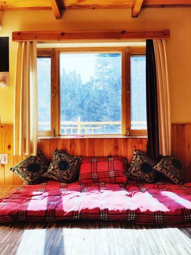 Near Naggar Castle Jungle Vibes Hostel